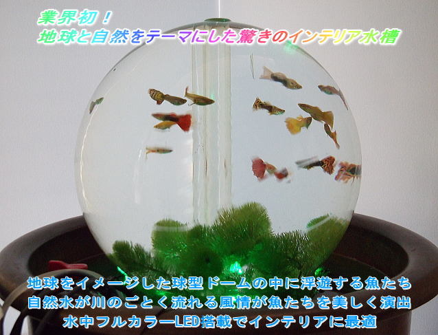 �ȳ��顪 �ϵ�ȼ�����ơ��ޤˤ����ä��Υ���ƥꥢ���� 