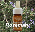 eo_02_rosem
