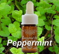 eo_03_pep