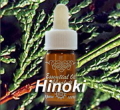eo_04_hin